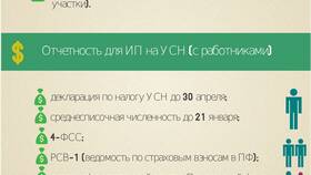 Что лучше для ИП: УСН или АУСН в Йота