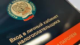 Долги по налогам: что делать в Йота