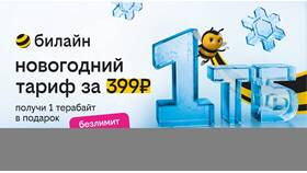 Как докупить интернет на Билайне на телефоне в Йота