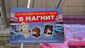Как оплатить покупки подарочной картой в приложении Магнит