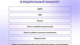 На что идут доходы в Йота