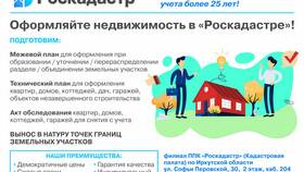 Выписка ЕГРЮЛ и ЕГРН: ключевые отличия в Йота